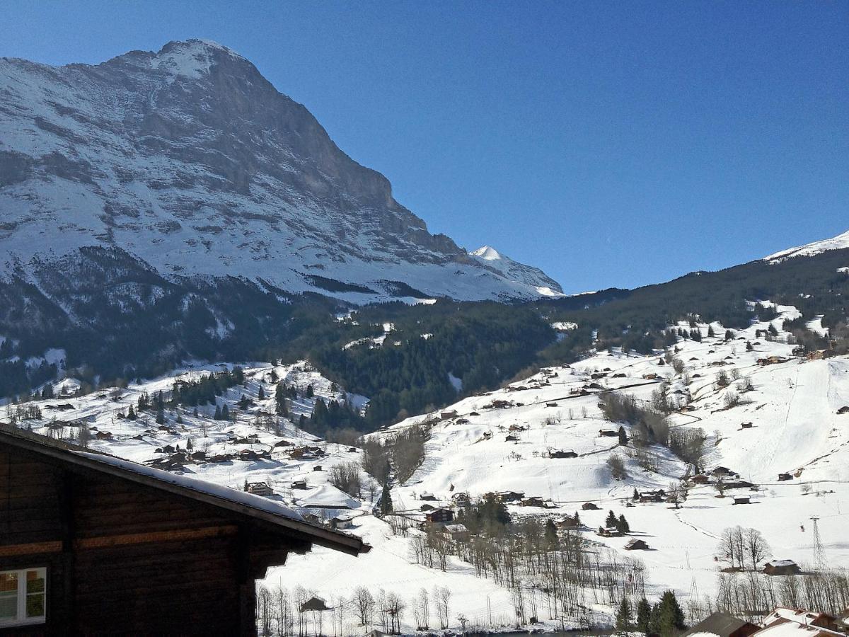 Apartment Chalet Mittelhorn-1 Grindelwald Kültér fotó