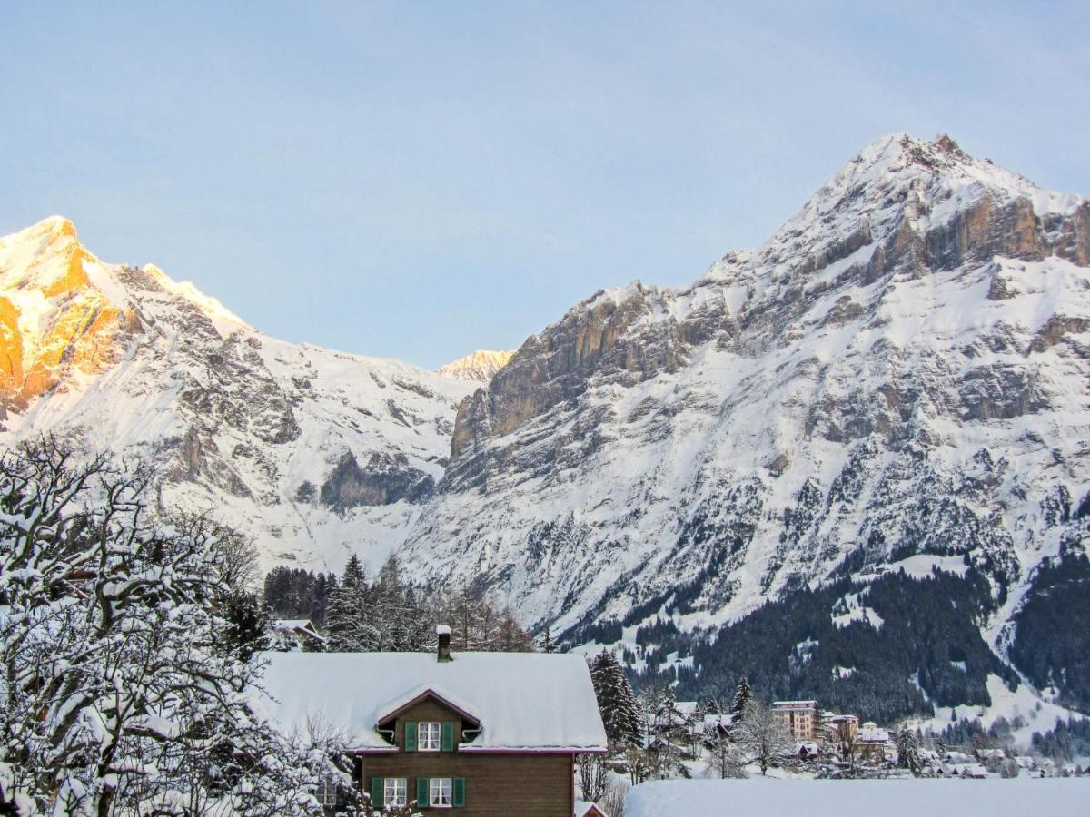 Apartment Chalet Mittelhorn-1 Grindelwald Kültér fotó